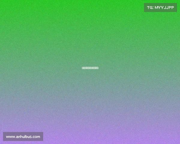 中国电子竞技冠军巡回赛